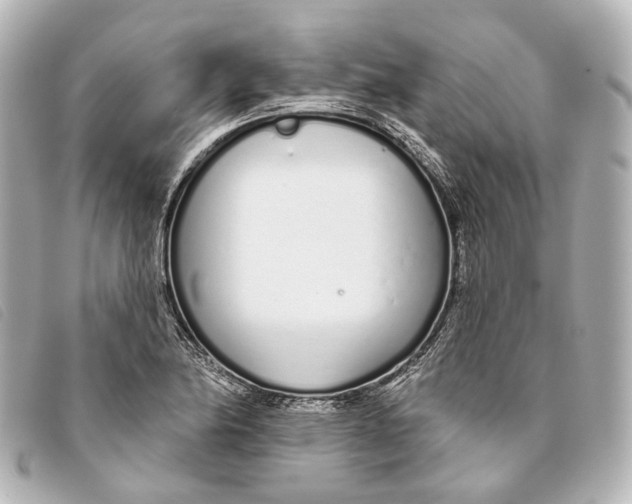 X0000093361174200710251124