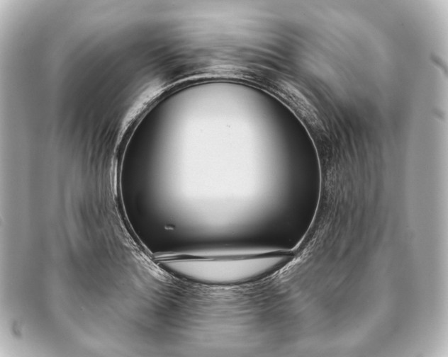 X0000093361180200710251124