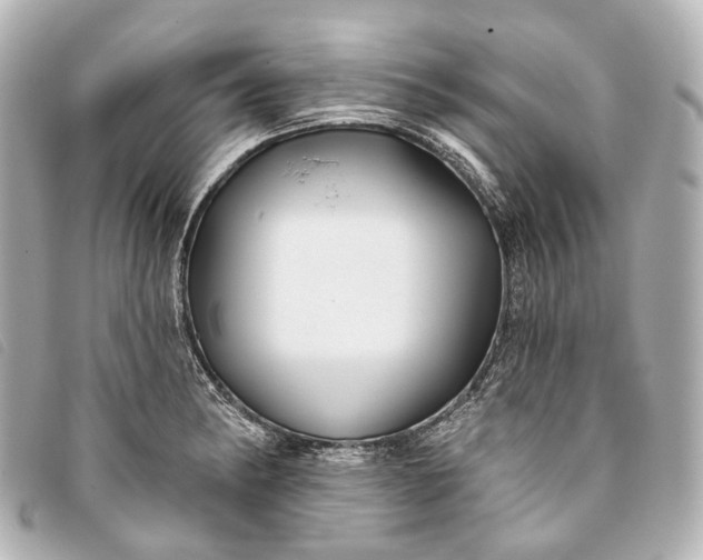 X0000093361182200710251124