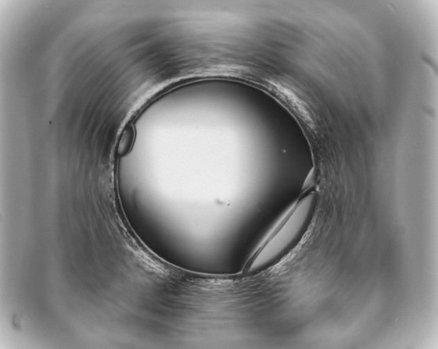 X0000093361184200710251124