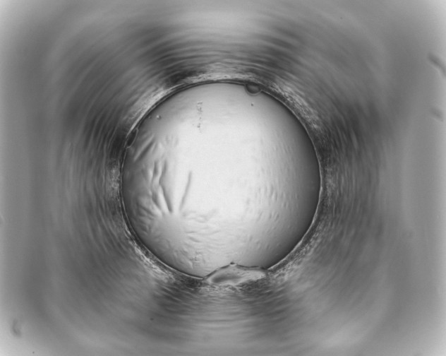 X0000093361185200710251124