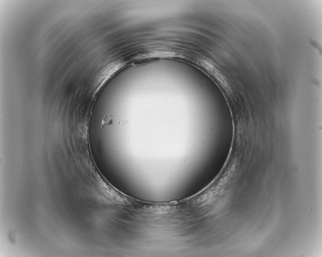 X0000093361193200710251124