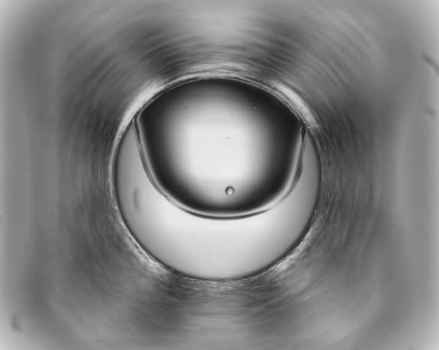 X0000093361196200710251124