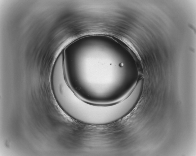 X0000093361197200710251124