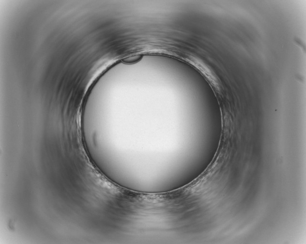 X0000093361198200710251124