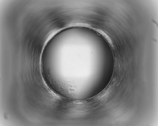 X0000093361199200710251124