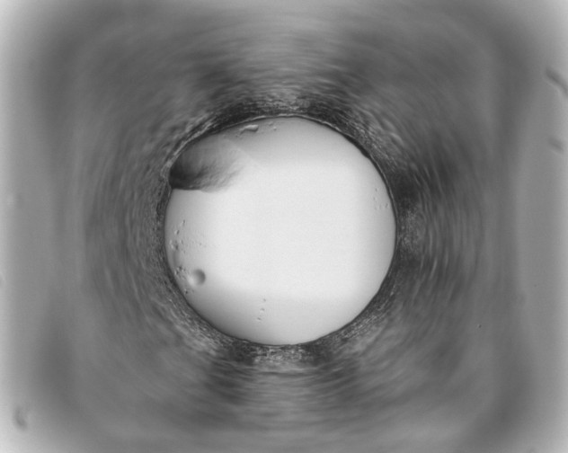 X0000093361201200710251123