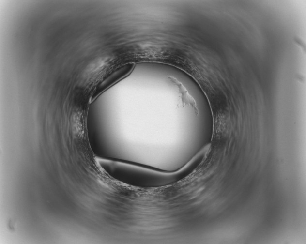 X0000093361202200710251123