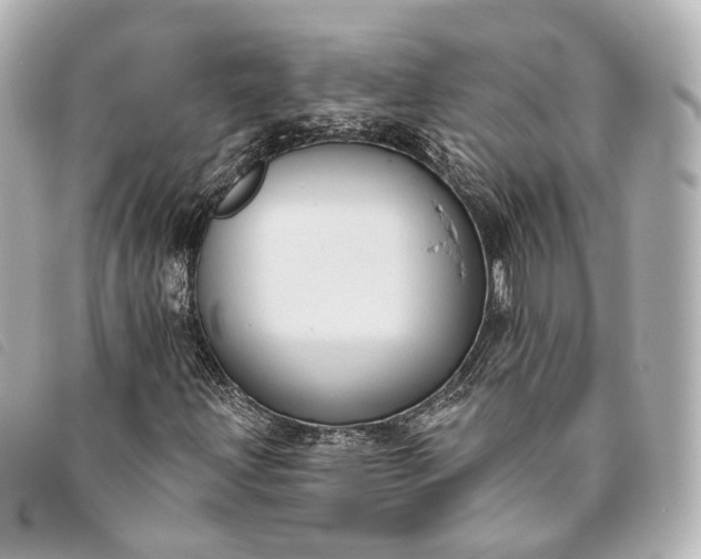 X0000093361203200710251123