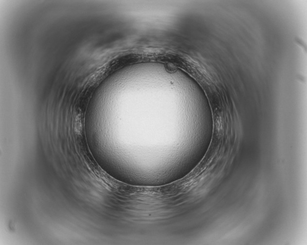 X0000093361204200710251123