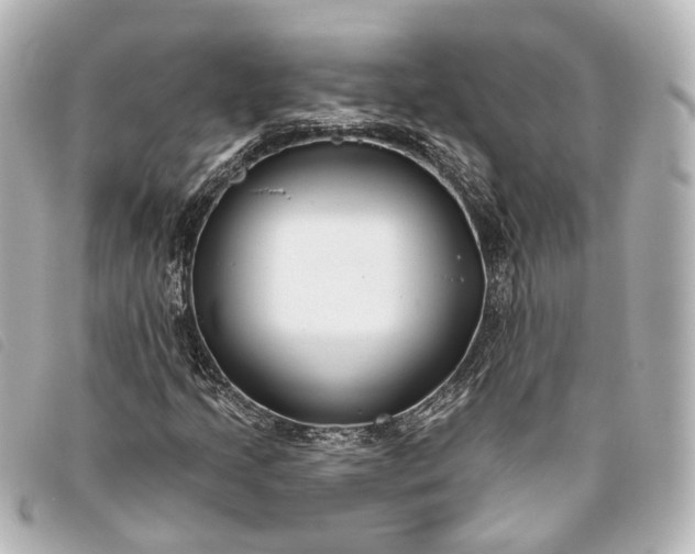 X0000093361205200710251123