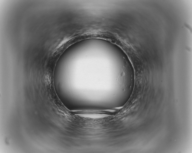 X0000093361206200710251123