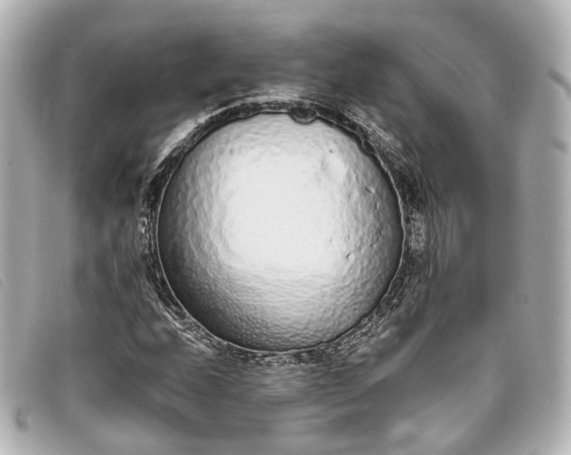 X0000093361208200710251123