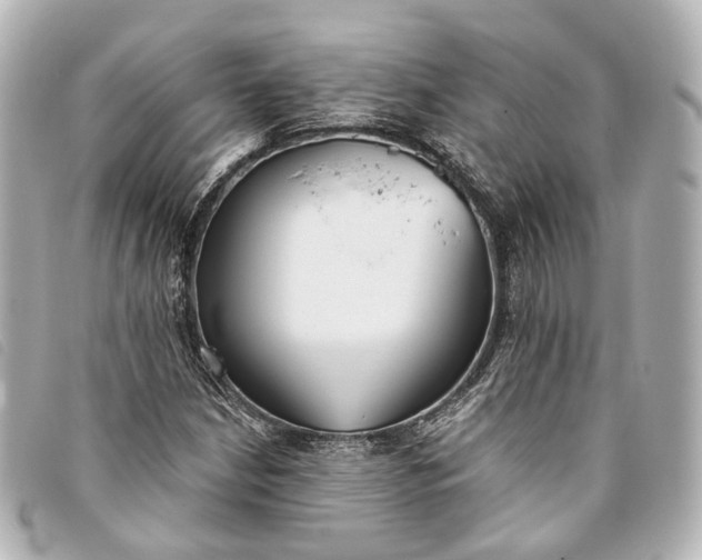 X0000093361210200710251123