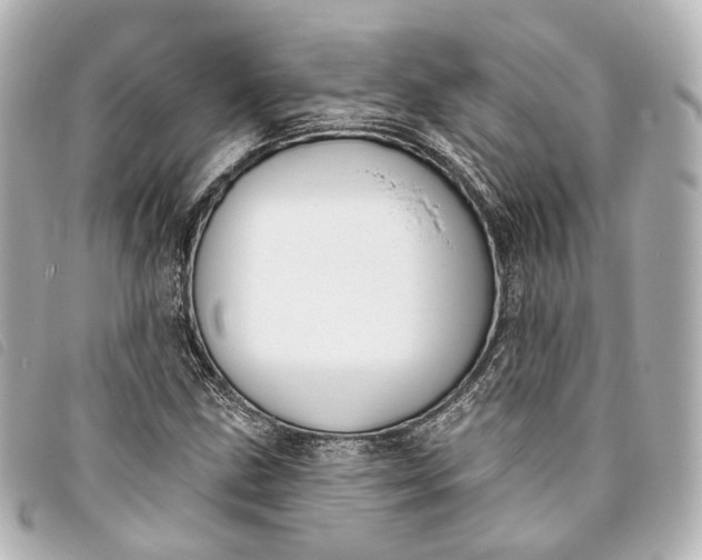 X0000093361211200710251123