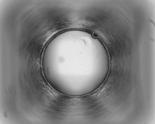 X0000093361212200710251123