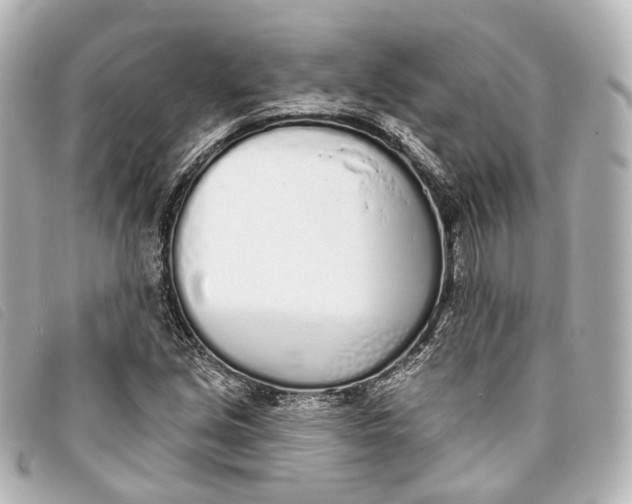 X0000093361213200710251123