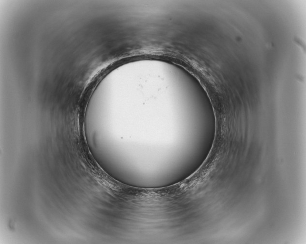 X0000093361214200710251123