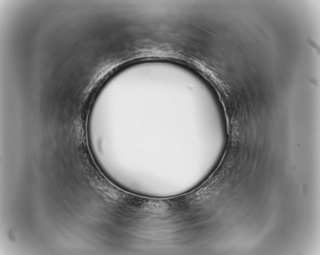 X0000093361215200710251123