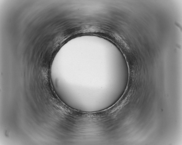 X0000093361217200710251124