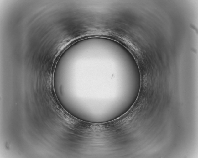 X0000093361220200710251124