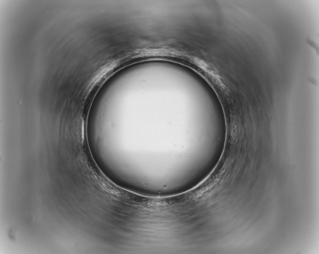X0000093361221200710251124