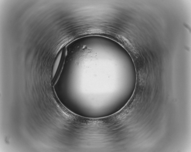 X0000093361225200710251124