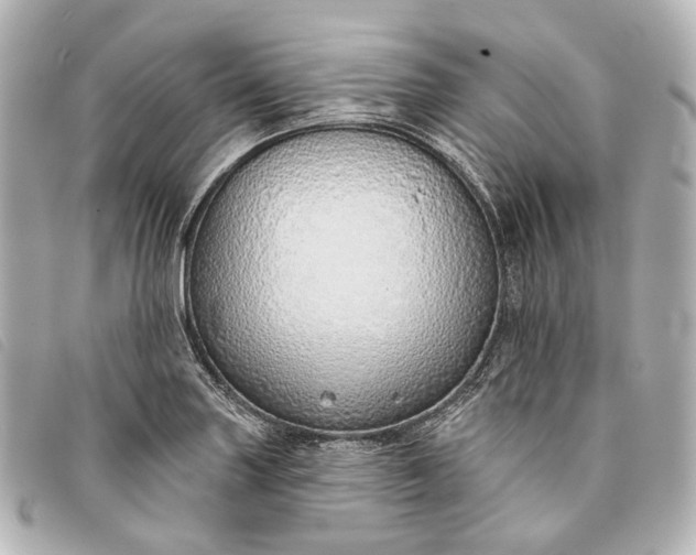 X0000093361227200710251124