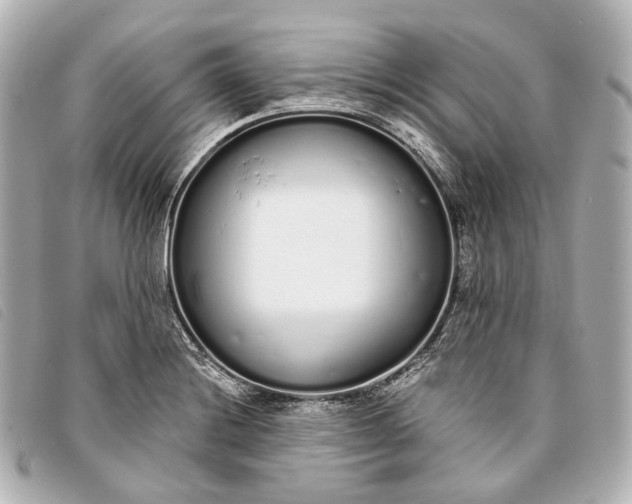 X0000093361228200710251124