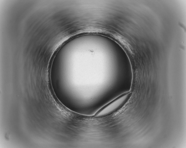 X0000093361229200710251124