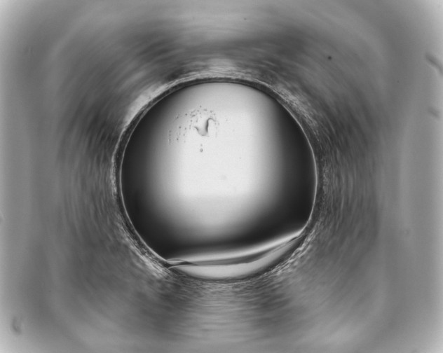 X0000093361230200710251124