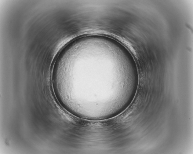 X0000093361231200710251124