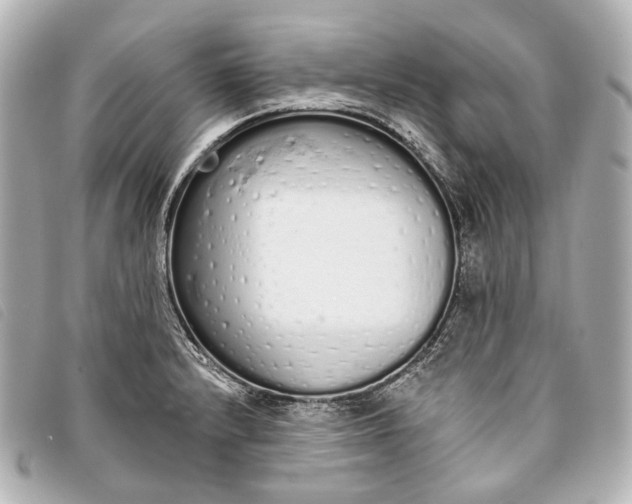 X0000093361232200710251124