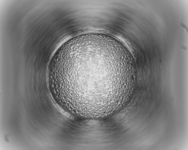 X0000093361235200710251124
