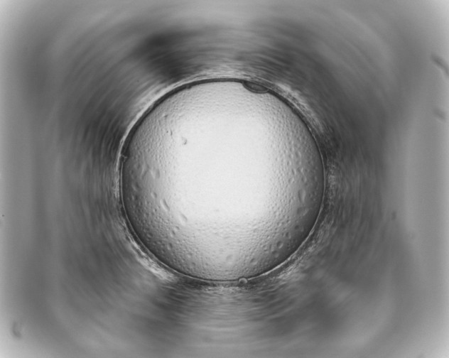 X0000093361236200710251124