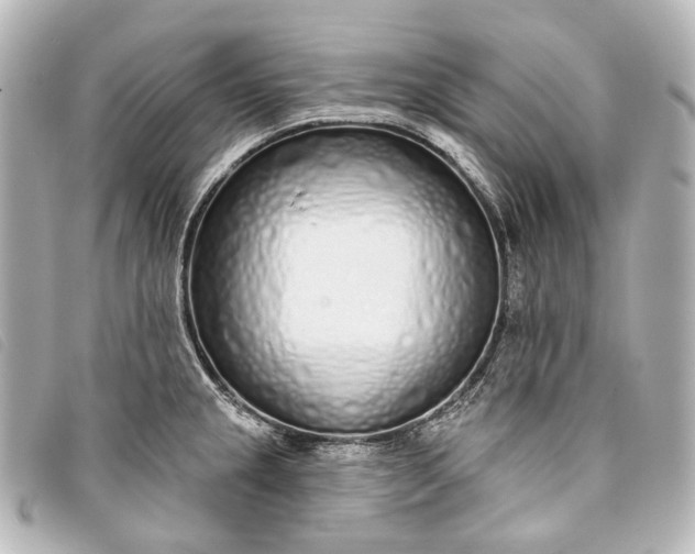 X0000093361237200710251124