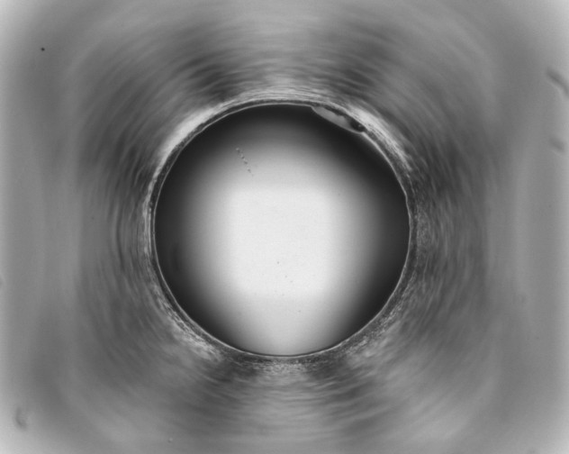 X0000093361238200710251124