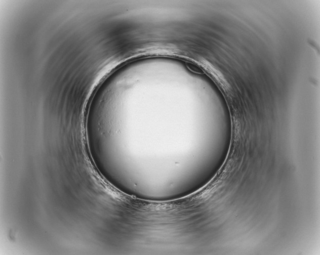 X0000093361240200710251124