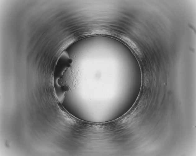 X0000093361241200710251124