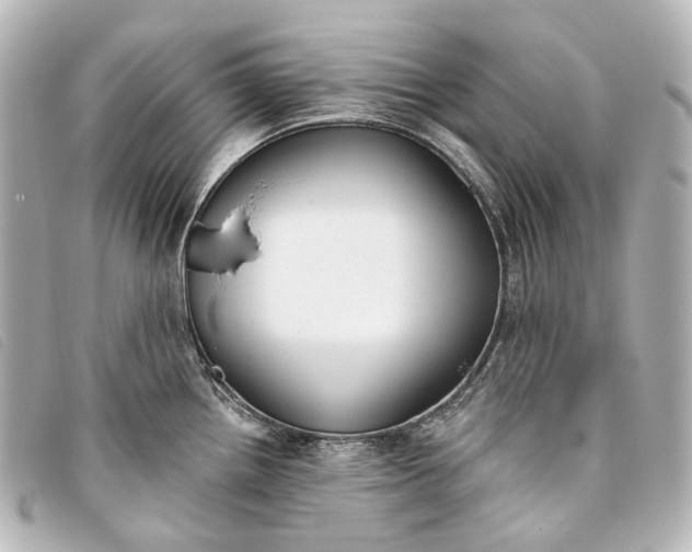 X0000093361242200710251124