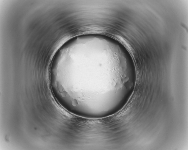 X0000093361243200710251124