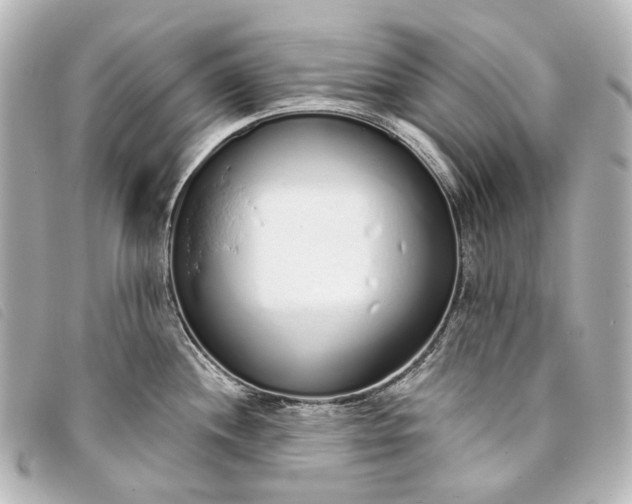 X0000093361244200710251124