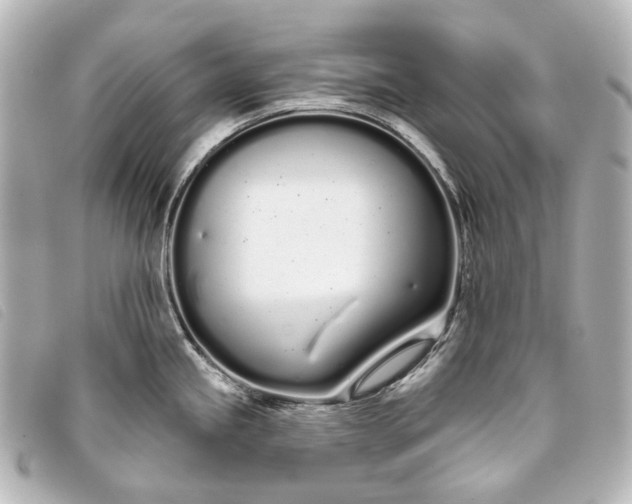 X0000093361245200710251124