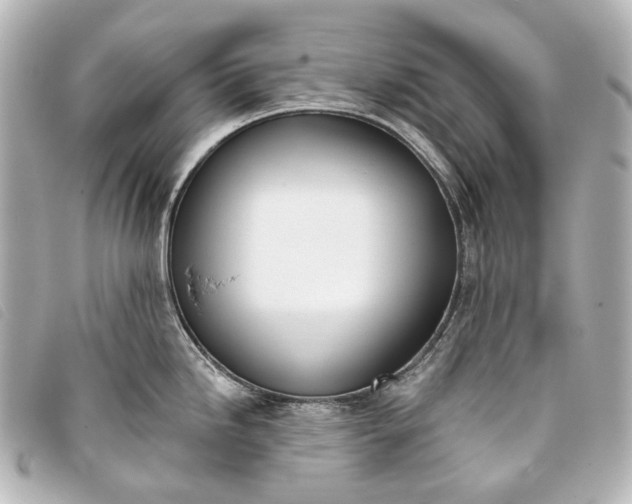 X0000093361246200710251124