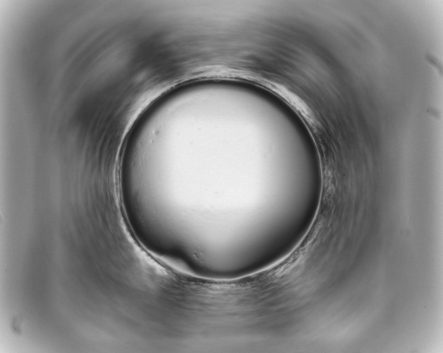 X0000093361247200710251124