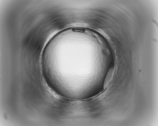 X0000093361248200710251124