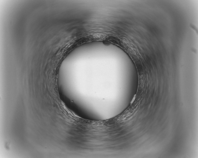 X0000093361249200710251123