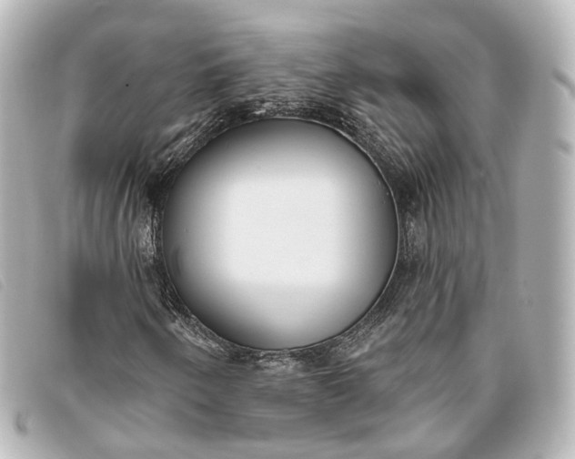 X0000093361250200710251123