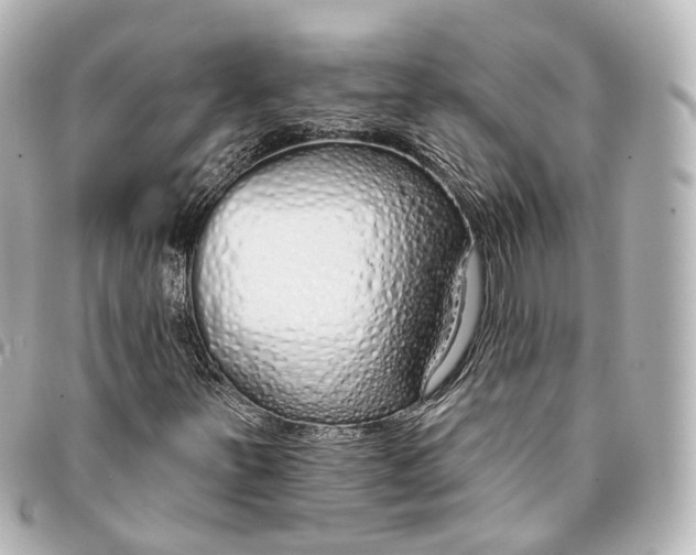 X0000093361251200710251123
