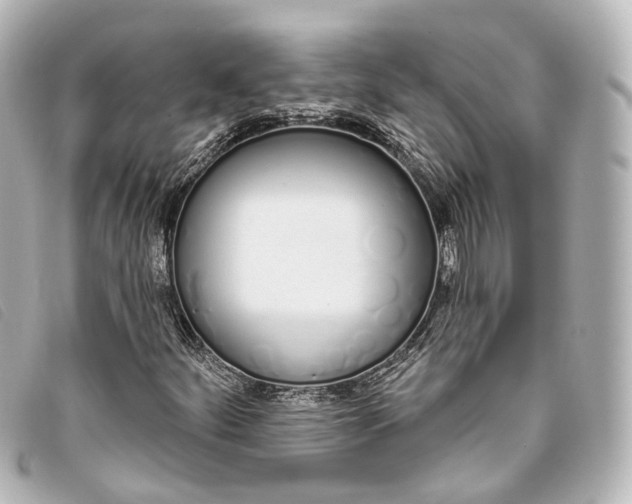 X0000093361252200710251123